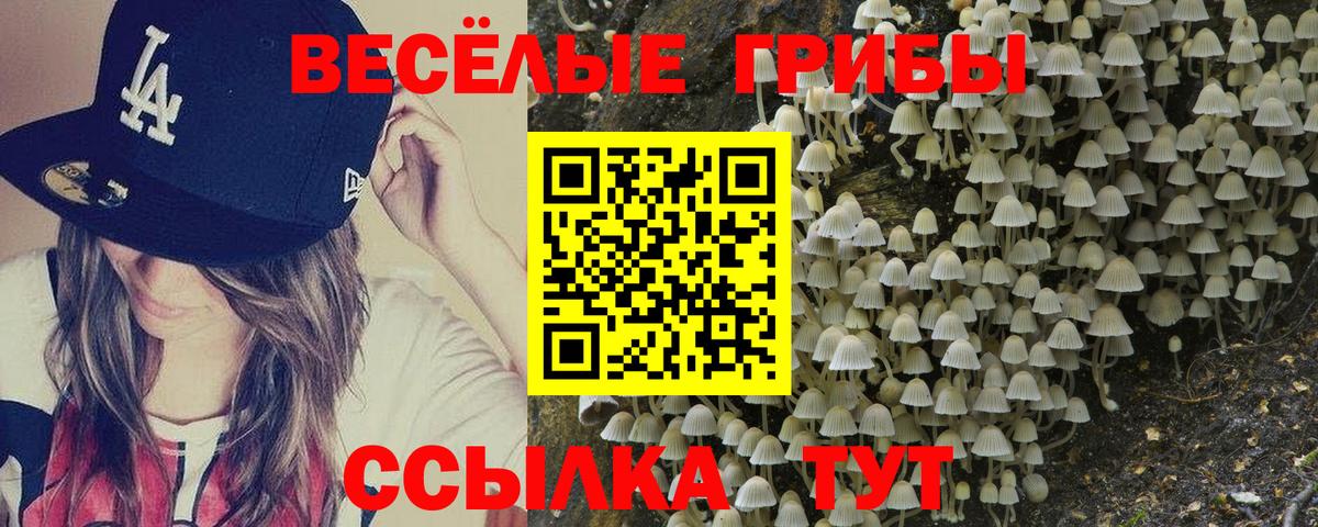 Лесозаводск  Псилоцибиновые грибы мухоморы  Галлюциногенные грибы Cubensis  Вход с VPN 